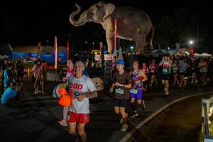 BIB: 
                            <button type="button" onclick="openModal(26552320)" class="btn btn-primary btn-sm float-right btn-popup" data-toggle="modal" data-target=".modal-high-quality">
                        <i class="fas fa-shopping-cart"></i> Add to Cart
                    </button>
                                            <button type="button" onclick="isThisMe(26552320, true)" class="btn btn-success btn-sm float-right btn-popup btn-isme hidden" data-toggle="tooltip" data-placement="bottom" title="นี่คือรูปของคุณใช่ไหม คลิกที่นี่เพื่อเอาเข้าอัลบั้ม">
                        <i class="fas fa-plus"></i> Add to album
                    </button>
                    <button type="button" onclick="isThisMe(26552320, false)" class="btn btn-warning btn-sm float-right btn-popup btn-isnotme hidden">
                        <i class="fas fa-ban"></i> Remove from album
                    </button>